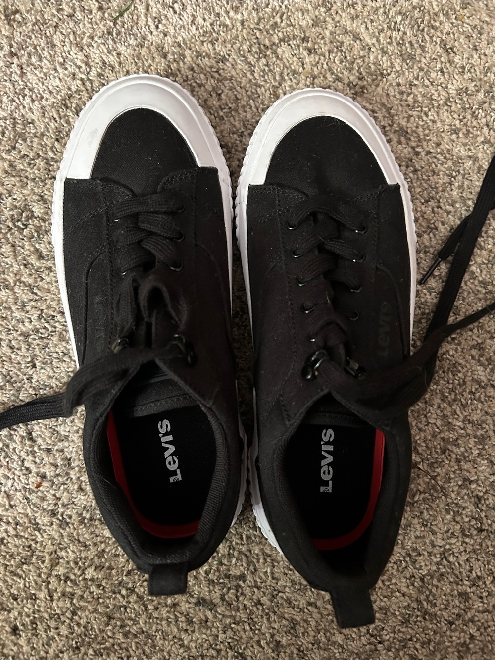 Levi's Black Canvas Low-Top Sneakers with White Sole